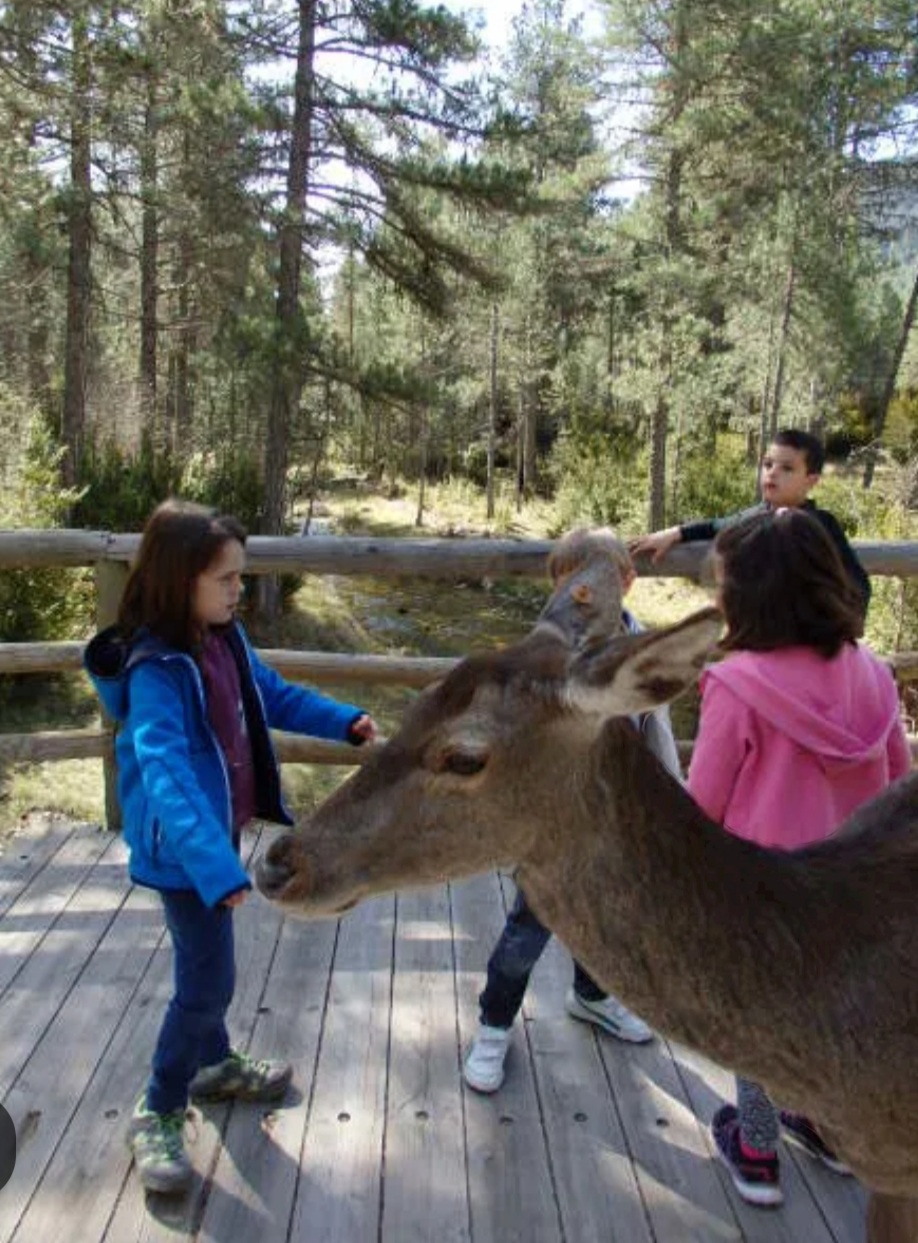 Screenshot_20240727-111736_Google