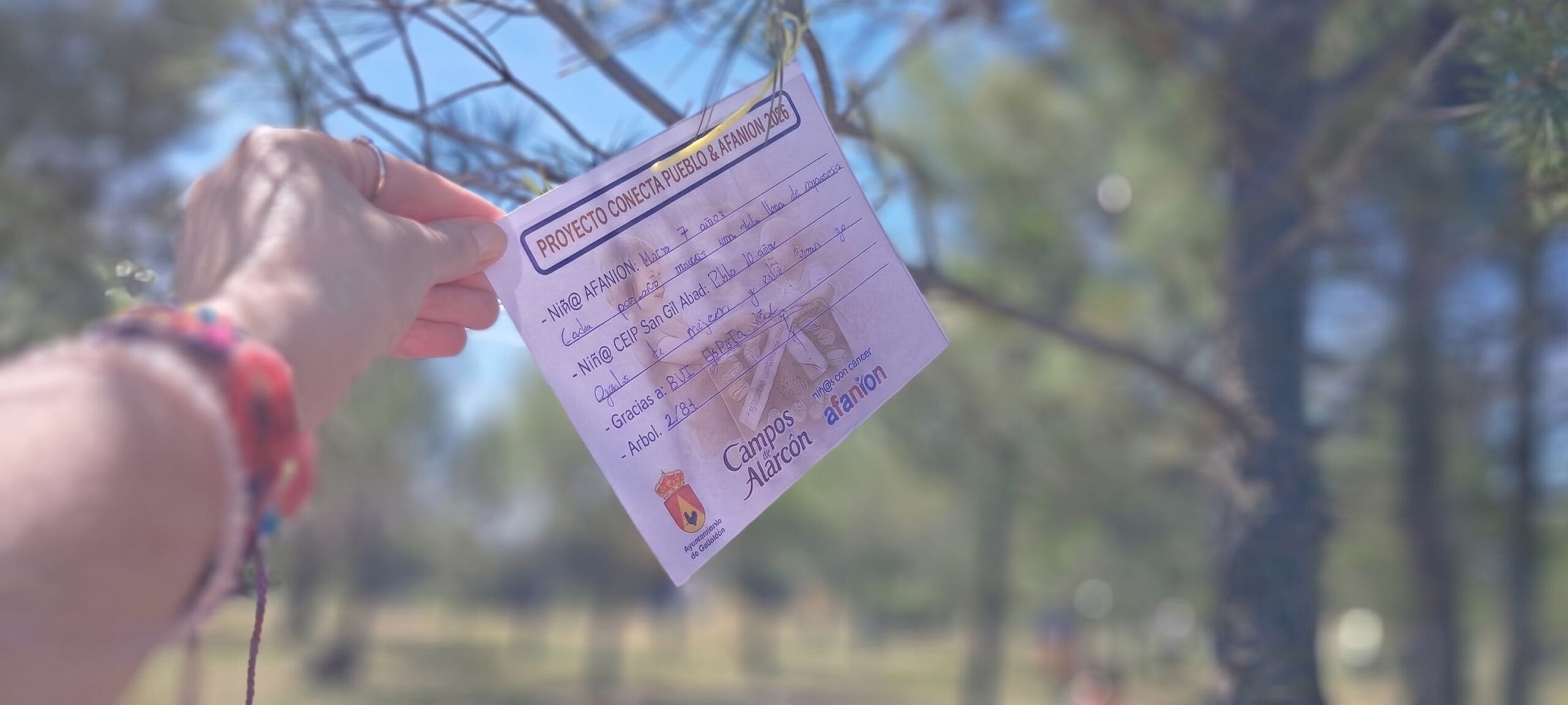 Proyecto Conecta 02